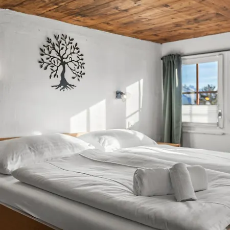Historic Charming House 10 Min From Chalet Crans-Montana